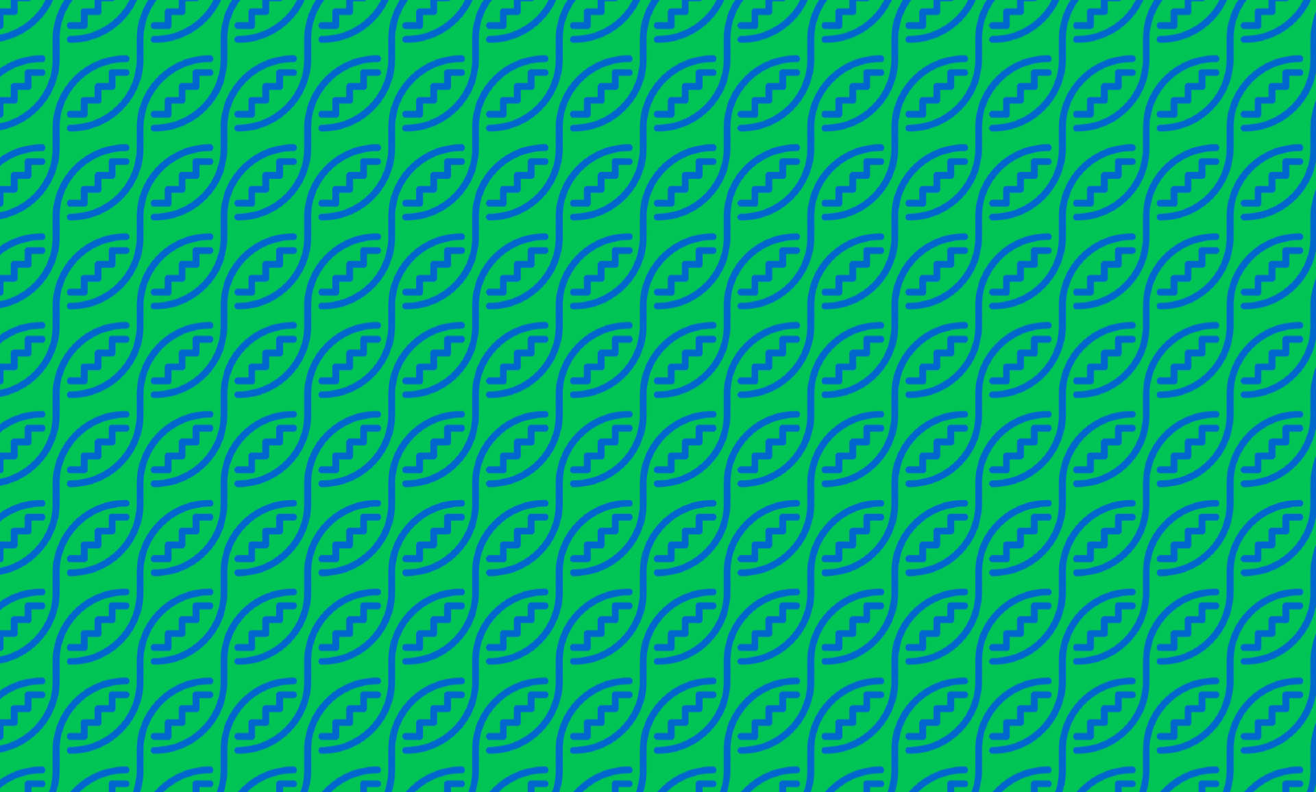 myoskeletikes bg