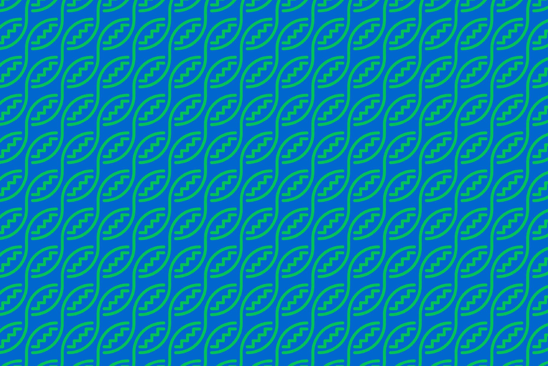 neoplasmatikes bg