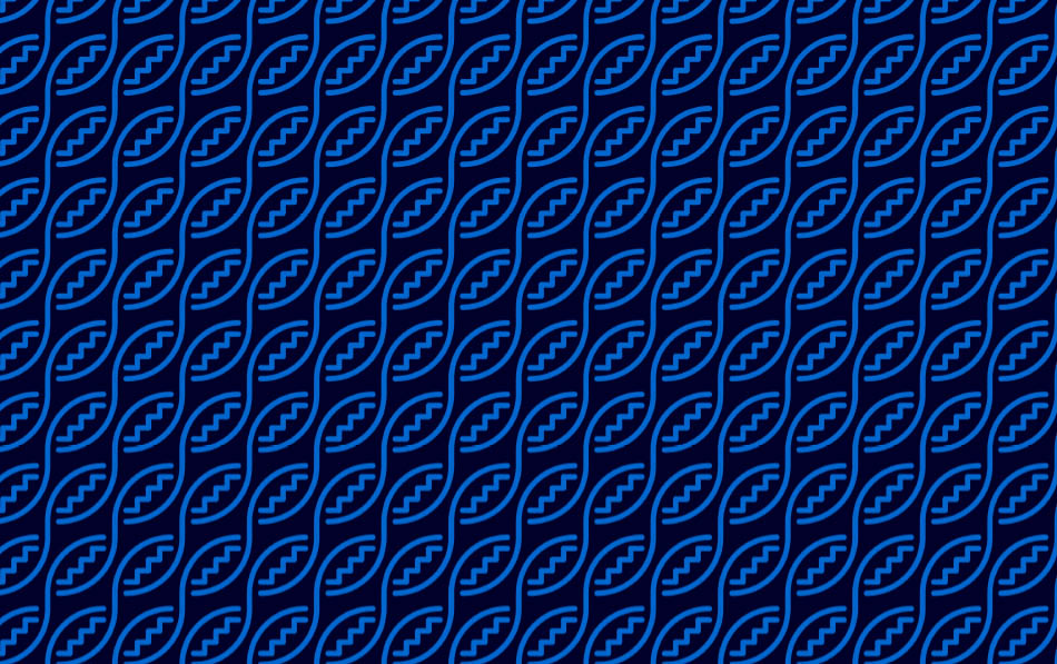 nirvana bg